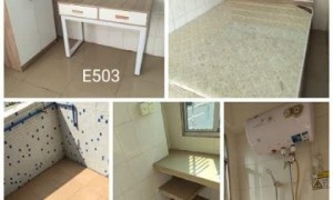 13号线沙村地铁站房东直租