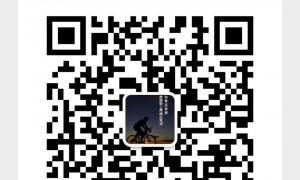 嘉禾望岗 东平  江夏  房东直租