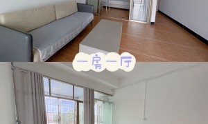 14号线东平/3号线龙归新公寓招租