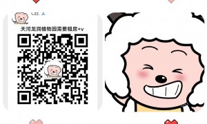 六号线植物园🚇龙洞步行街附近🏠房东直租无中介费