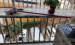 白云区2号线江夏地铁口【不限流】