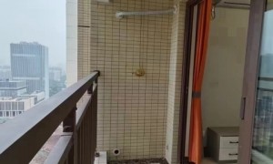 车陂 东圃 车陂南 精装修 价格优惠 0中介费 拎包入住