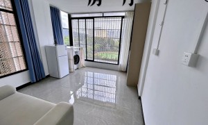 六号线植物园龙洞本地房东精装公寓招租