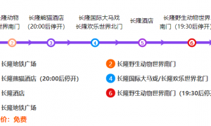 广州长隆水上乐园游玩全攻略（门票+亮点+购票入口）