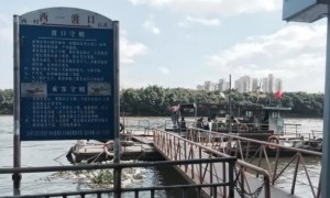2020年3月16日广州番禺区南浦西一渡口恢复渡运