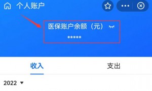 广州医保卡余额查询方法