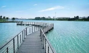 广州2019黄埔区有哪些锻炼身体的地方