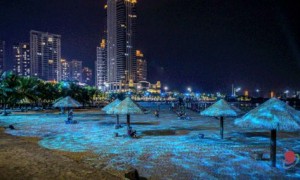 2019湛江国庆烟花表演时间 10月1日20:30-21:10