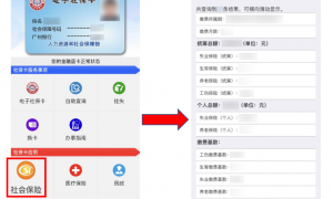 2020广州电子社保卡查询社保明细指引