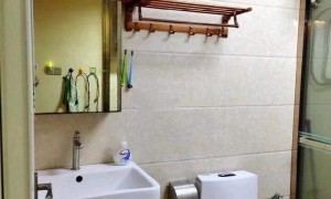 5号线东圃地铁站房东直租