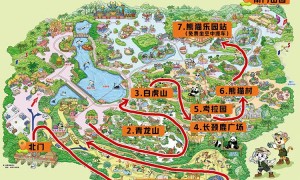 2025广州长隆野生动物世界暑假遛娃攻略