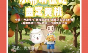 2025年广州超300斤黄桃免费送（附抽奖入口）