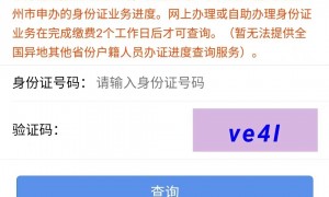 2023广州身份证网办进度怎么查询？