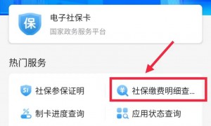 广州社保怎么查询缴费记录