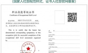 公共营养师证书模板+查询入口官网2024