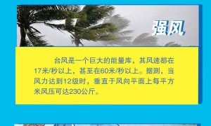 广东台风最新消息2023年7月
