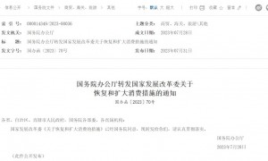 国家发展改革委关于恢复和扩大消费的措施（全文内容）