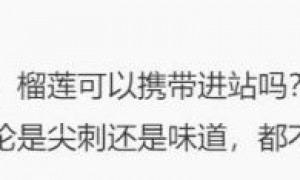 2024榴莲能带上广州地铁吗
