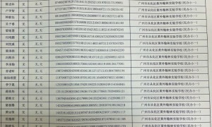2024广州从化民办小学招生电脑派位结果（录取名单）