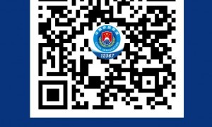 关于实施支持扩大开放服务高质量发展10项创新举措的公告（2025年）