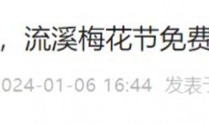1月7日起广州流溪河国家森林公园可免费赏梅