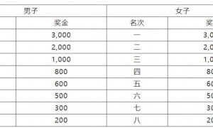 2024广州南沙（湾区）半程马拉松赛录取名次及奖励办法