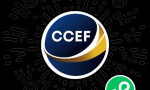 2024广州跨境电商交易会有哪些亮点呢