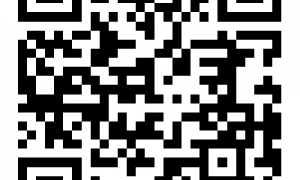 十五运会期间广东有什么优惠活动