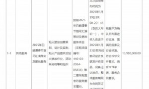 2025广州春节有烟花吗？