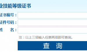 职业技能等级证书查询网址http://jndj.osta.org.cn/