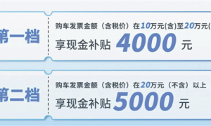 2025年广州市3亿元汽车消费补贴启动