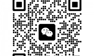 广州13号线沙村站特价房