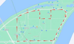 广州塔和生物岛自动驾驶便民巴士线路+站点