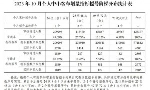 广州10月个人增量指标摇号阶梯分布统计表